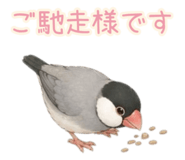 842423520