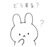 842431072