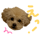 842431215