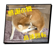 842431801