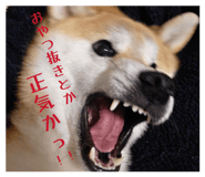 842431804