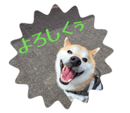 842431807