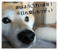 842431814