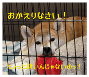 842431815