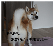 842431816