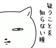 842431981