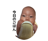 842432016