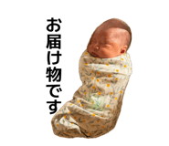842432026