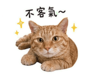 842439652