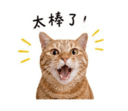842439655