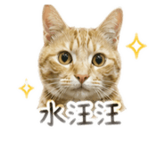 842439685