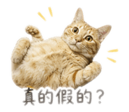 842439697