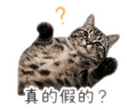 842439712