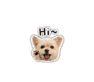 842439713