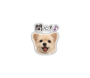 842439719