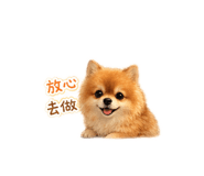 842439805
