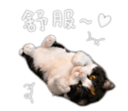 842440115