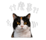 842440120