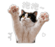 842440127
