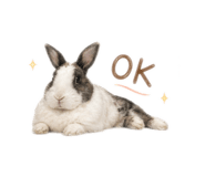 842448926