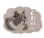 842449256