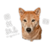 842460469