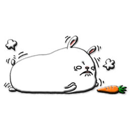 8424816