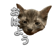 842482229