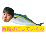 842482732