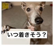 842482734