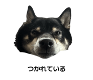 842482811
