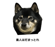 842482812