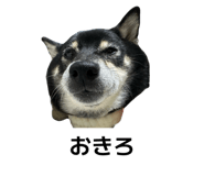 842482814