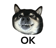 842482816
