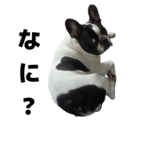 842482928