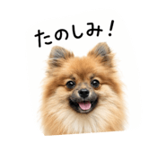 842482989