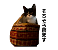 842483082