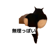 842483083