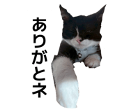 842483085