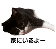 842483086