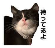 842483088