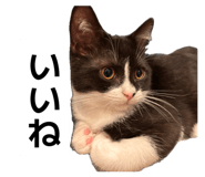 842483089