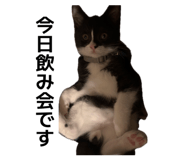 842483099