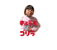 842488061