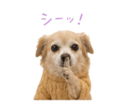 842488096