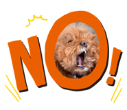 842488173