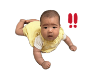 842488462