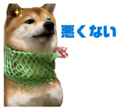 842488505