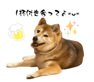 842488506