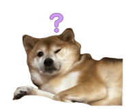 842488507